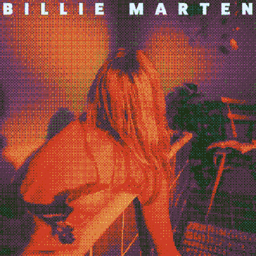 Feeding Seahorses by Hand by Billie Marten