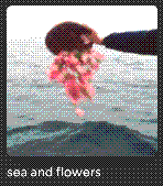 Sea and flowers playlist.