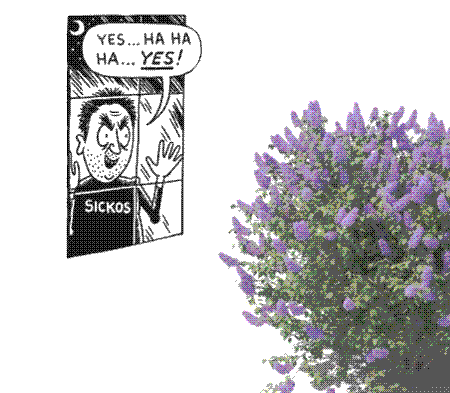 Comic of a pervert man saying 'yes... ha ha ha... YES!' looking from the window at a bush of wisteria