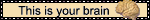 this is your brain on blinkies