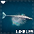 Whales fanlisting
