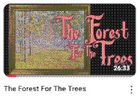 The Forest For The Trees